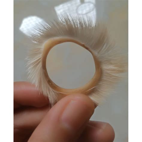 Shop goat eyelashes for Sale on Shopee Philippines.